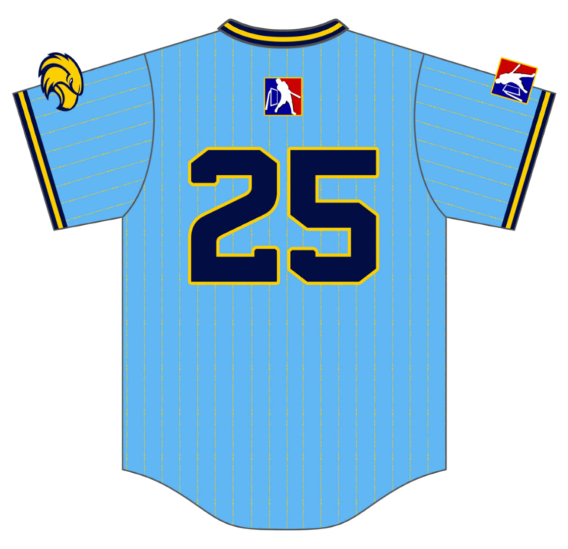 Eastern Eagles Dark Moxie Jersey FULLY CUSTOM MLW Wiffle Ball