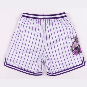 Western Wildcats Retro Mesh Shorts