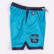 Great Lakes Gators Retro Mesh Shorts