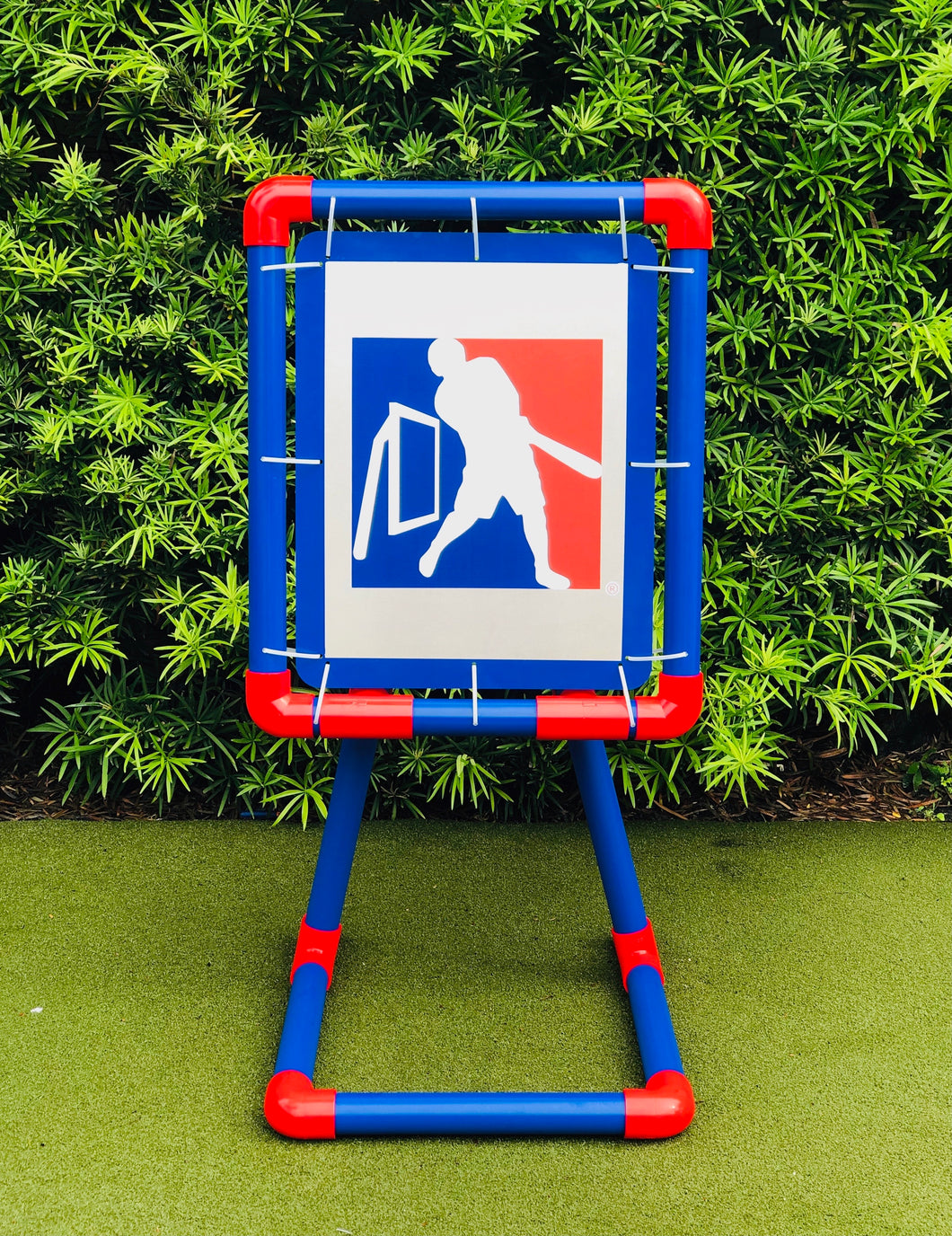 Official MLW Deluxe Strikezone by Home Stand